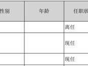 震撼！上市公司财务造假，财务总监被判13年！欺诈发行证券罪、骗购外汇罪……