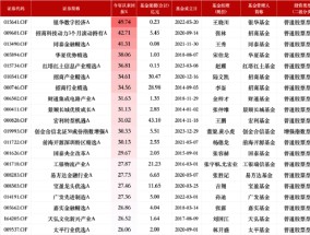 盘点2024股票型基金业绩：银华数字经济A今年来回报49.74%暂获榜首，招商基金3只产品上榜TOP20数量最多