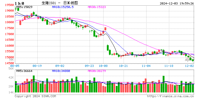 每日猪讯12.3