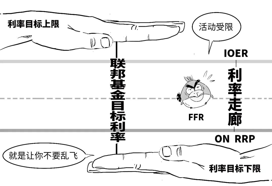 鹰派降息？3分钟搞懂美联储咋降的息！